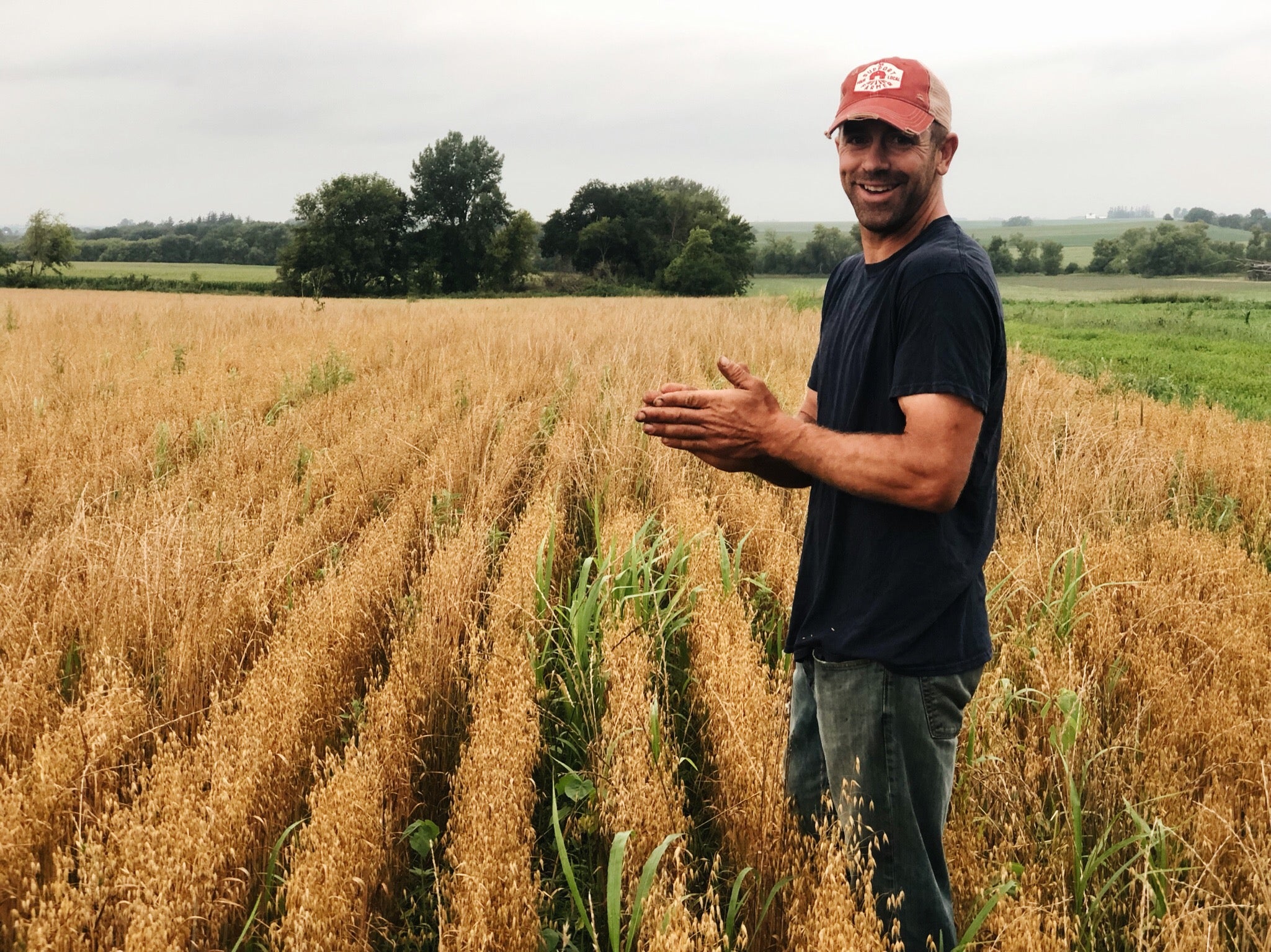 Oats in the Corn Belt?! You Betcha.