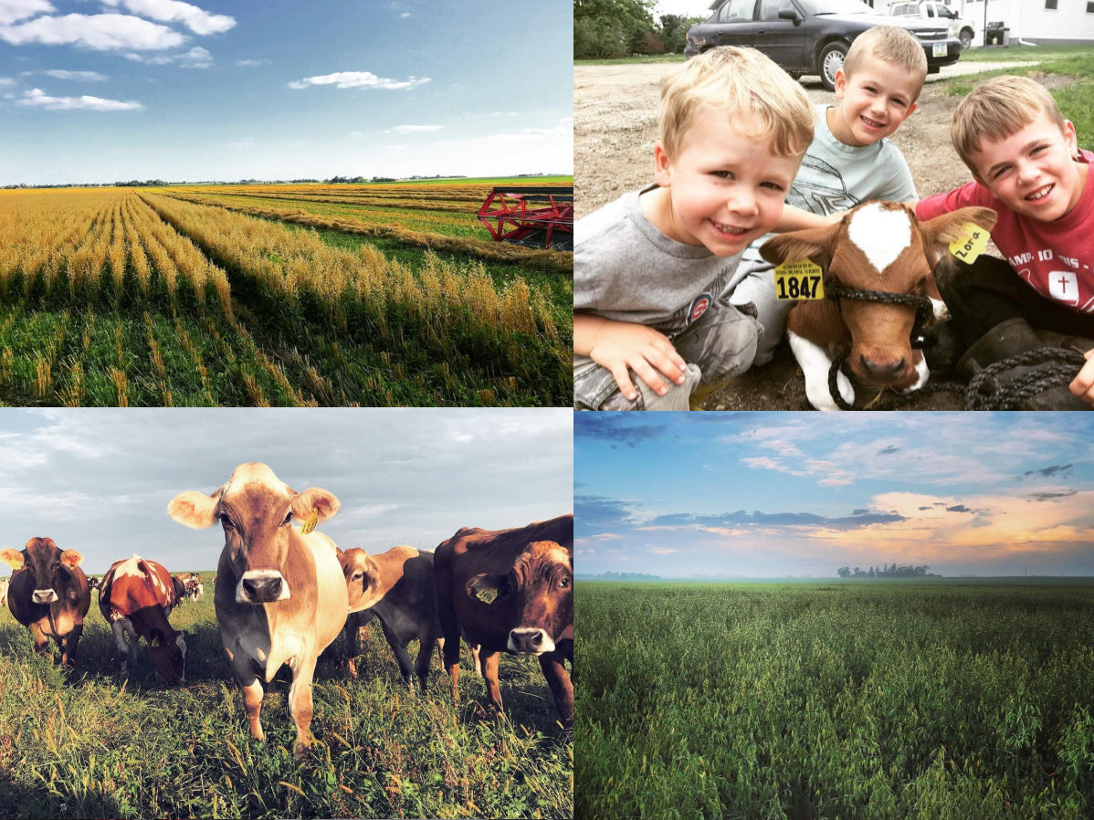 Meet Grassway Farm, Maynard, Iowa