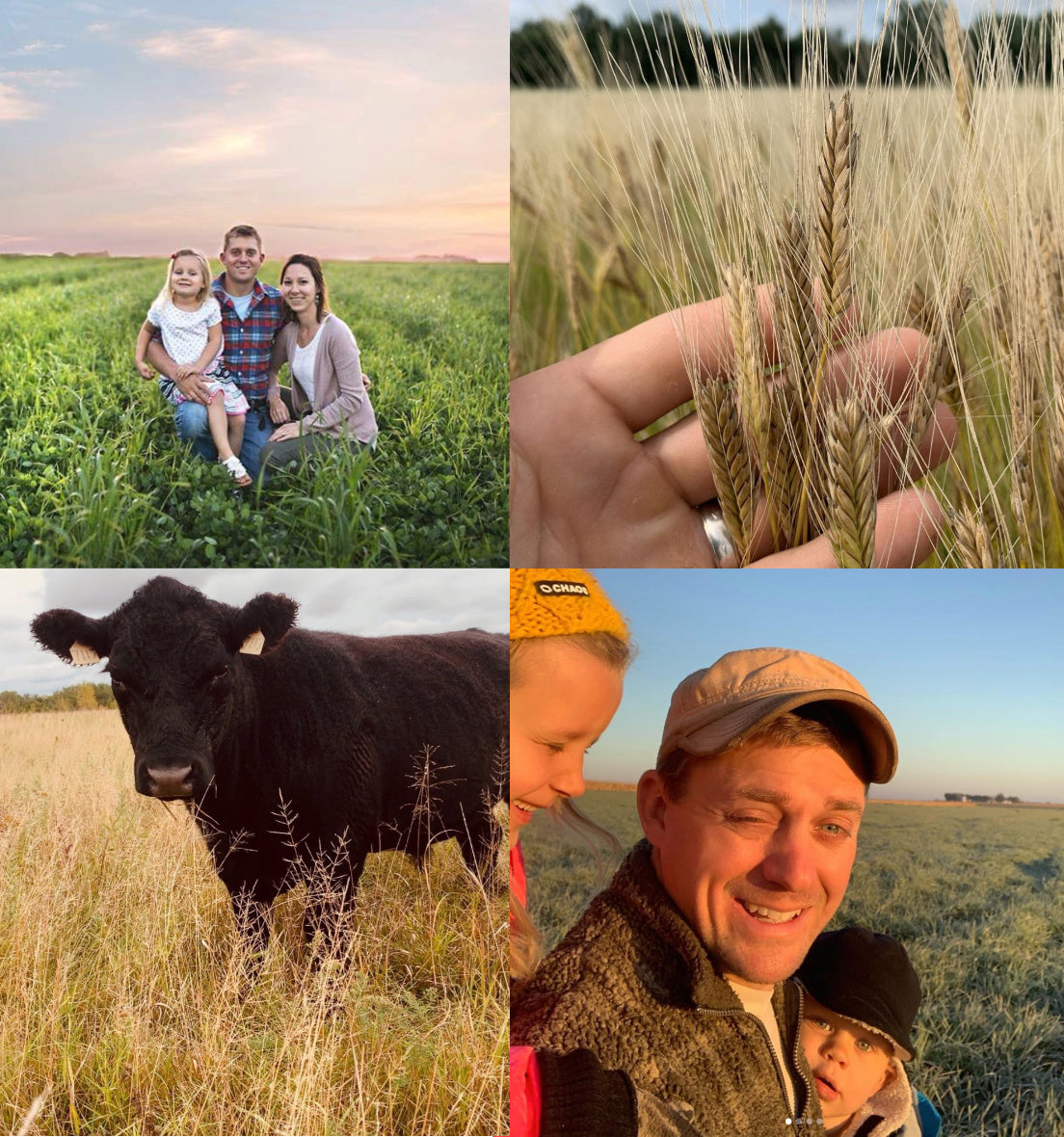 Meet A-Frame Farms, Dawson, Minnesota