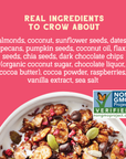 Day Dream Dark Chocolate Raspberry Nut Granola, 8oz