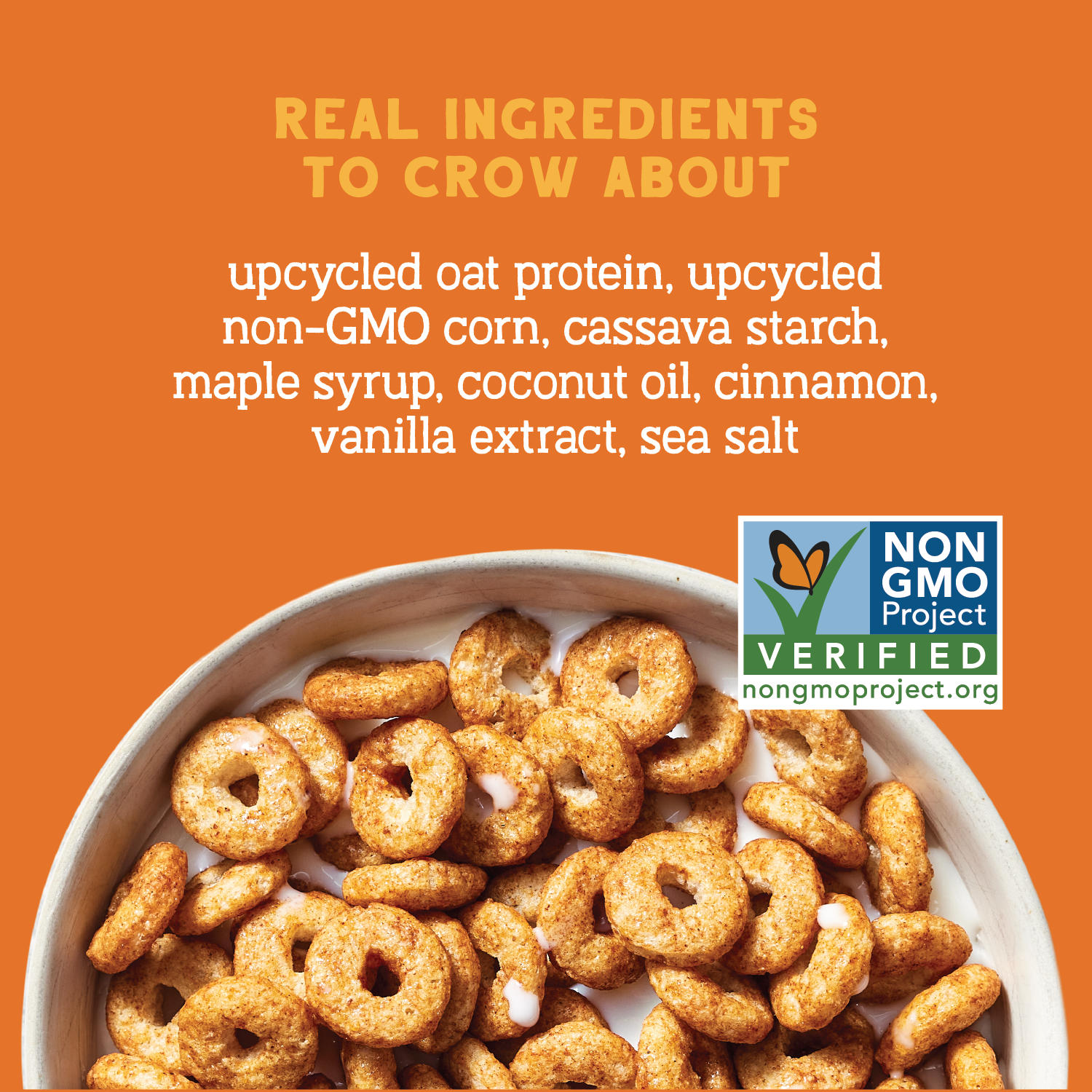 Maple Cinnamon Oat Protein Cereal